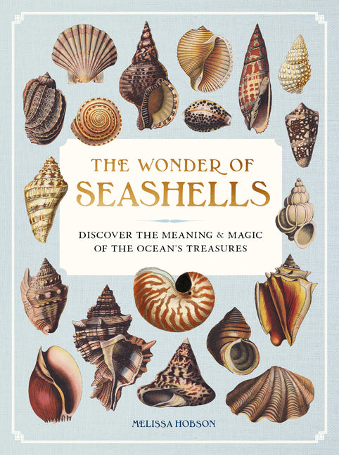 Book cover for Wonder of Seashells: Discover the Meaning and Magic of the Ocean's Treasures