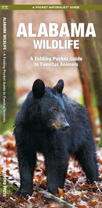 Book cover for Alabama Wildlife: A Folding Pocket Guide to Familiar Animals
