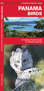 Book cover for Panama Birds