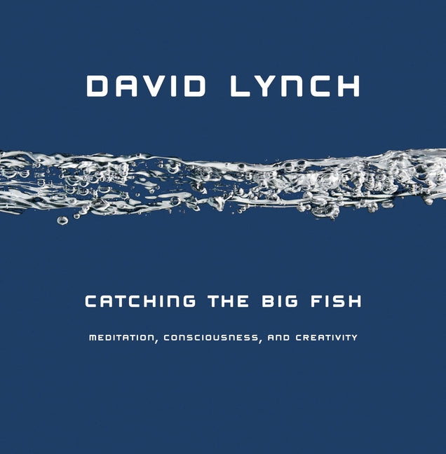 Book cover for Catching the Big Fish: Meditation, Consciousness, and Creativity