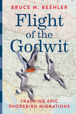 Book cover for Flight of the Godwit: Tracking Epic Shorebird Migrations