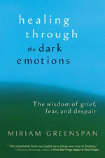 Book cover for Healing Through the Dark Emotions: The Wisdom of Grief, Fear, and Despair
