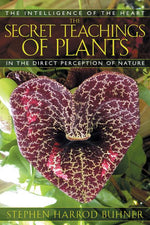 Book cover for The Secret Teachings of Plants: The Intelligence of the Heart in the Direct Perception of Nature
