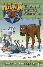 Book cover for The Wounded Buzzard on Christmas Eve