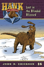 Book cover for Lost in the Blinded Blizzard