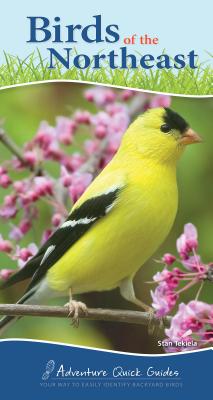 Book cover for Birds of the Northeast: Your Way to Easily Identify Backyard Birds