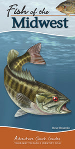 Book cover for Fish of the Midwest: Your Way to Easily Identify Fish