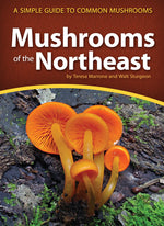 Book cover for Mushrooms of the Northeast: A Simple Guide to Common Mushrooms