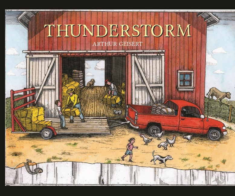 Book cover for Thunderstorm