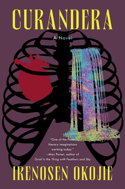 Book cover for Curandera