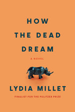 Book cover for How the Dead Dream