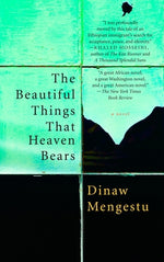 Book cover for The Beautiful Things That Heaven Bears