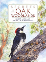 Book cover for Secrets of the Oak Woodlands: Plants and Animals Among California's Oaks