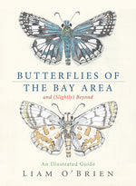 Book cover for Butterflies of the Bay Area and (Slightly) Beyond: An Illustrated Guide