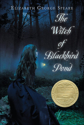Book cover for Witch of Blackbird Pond