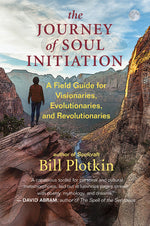 Book cover for The Journey of Soul Initiation: A Field Guide for Visionaries, Evolutionaries, and Revolutionaries