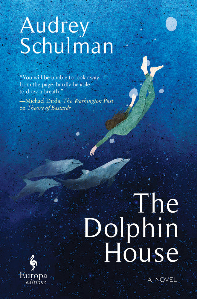 Book cover for The Dolphin House