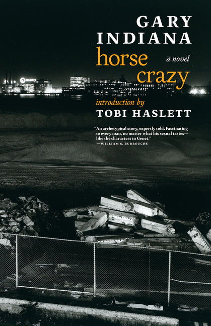 Book cover for Horse Crazy