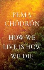 Book cover for How We Live Is How We Die