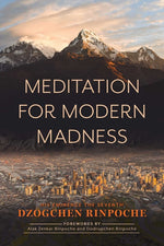 Book cover for Meditation for Modern Madness