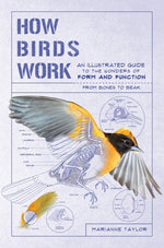 Book cover for How Birds Work: An Illustrated Guide to the Wonders of Form and Function - From Bones to Beak