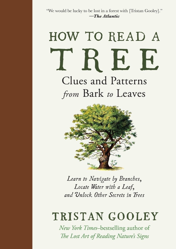 Book cover for How to Read a Tree: Clues and Patterns from Bark to Leaves