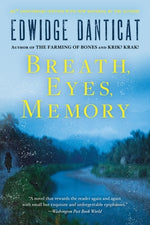 Book cover for Breath, Eyes, Memory