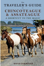 Book cover for The Traveler's Guide to Chincoteague and Assateague: A Shortcut to the Magic