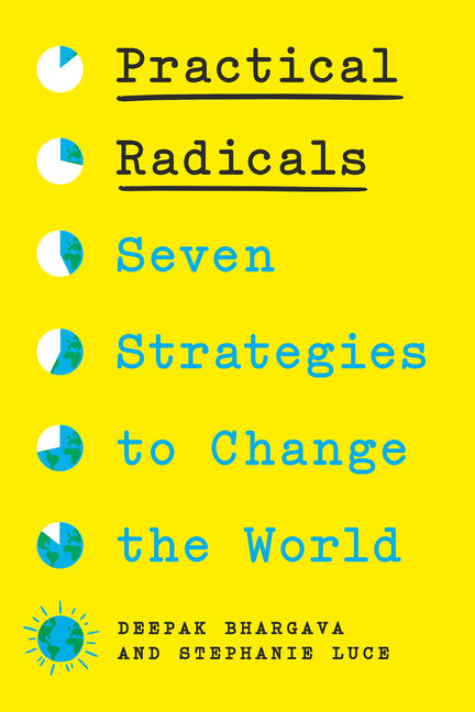 Book cover for Practical Radicals: Seven Strategies to Change the World