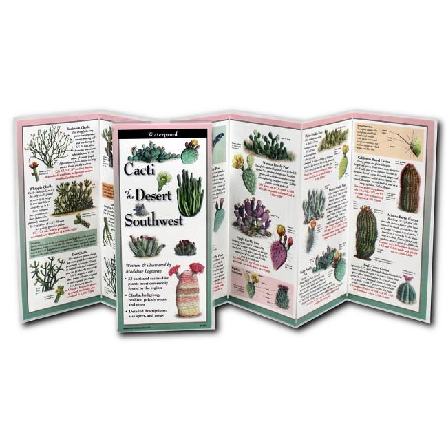 Book cover for Cacti of the Desert Southwest