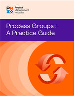 Book cover for Process Groups: A Practice Guide