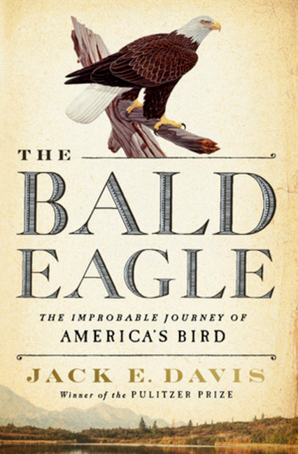 Book cover for Bald Eagle: The Improbable Journey of America's Bird