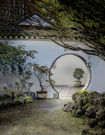 Book cover for LAN Su Seasons