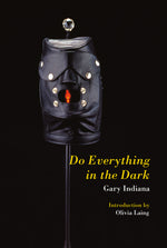 Book cover for Do Everything in the Dark