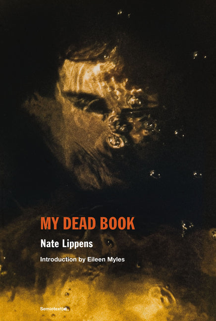 Book cover for My Dead Book