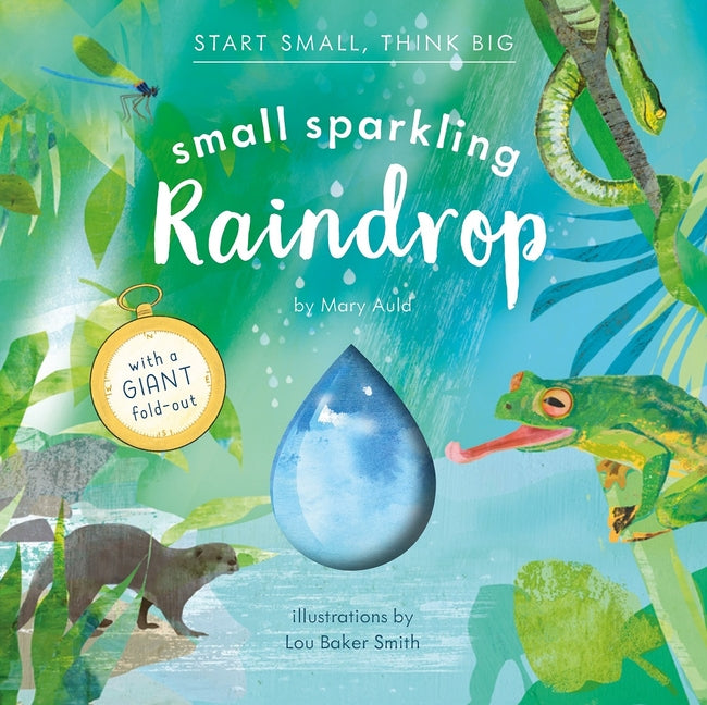 Book cover for Small Sparkling Raindrop (Start Small, Think Big #5)