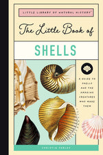Book cover for The Little Book of Shells: A Guide to Shells and the Amazing Creatures Who Make Them