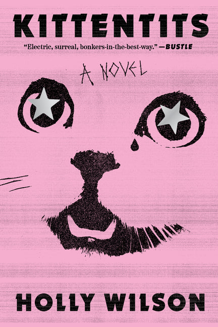 Book cover for Kittentits