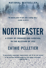 Book cover for Northeaster: A Story of Courage and Survival in the Blizzard of 1952