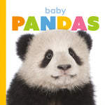 Book cover for Baby Pandas