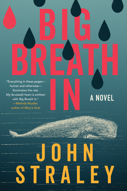 Book cover for Big Breath in