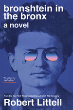 Book cover for Bronshtein in the Bronx