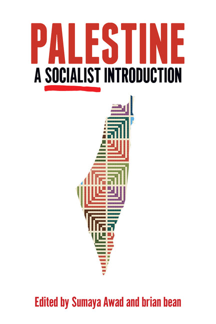 Book cover for Palestine: A Socialist Introduction