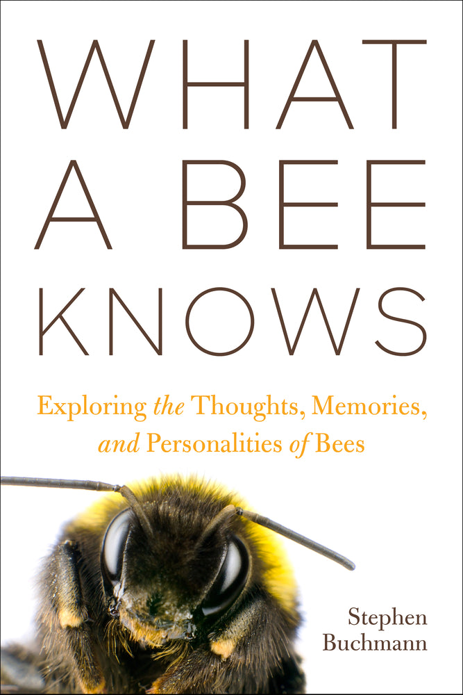 Book cover for What a Bee Knows: Exploring the Thoughts, Memories, and Personalities of Bees
