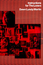 Book cover for Instructions for the Lovers