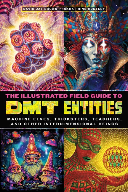 Book cover for Illustrated Field Guide to Dmt Entities: Machine Elves, Tricksters, Teachers, and Other Interdimensional Beings