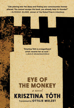 Book cover for Eye of the Monkey