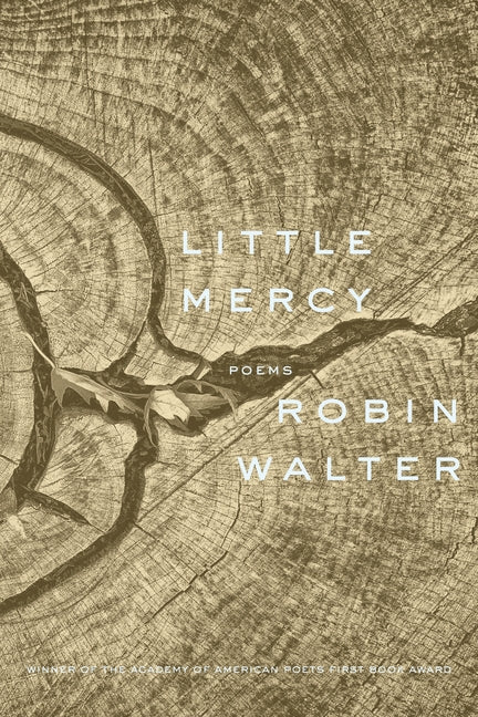 Book cover for Little Mercy: Poems