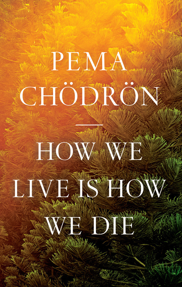 Book cover for How We Live Is How We Die