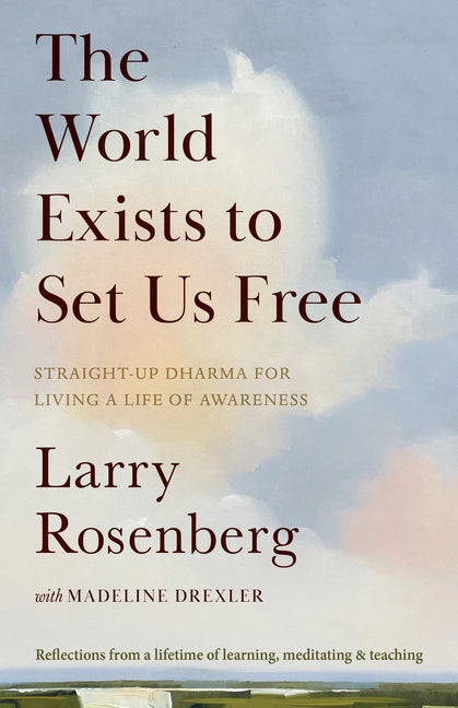 Book cover for World Exists to Set Us Free: Straight-Up Dharma for Living a Life of Awareness